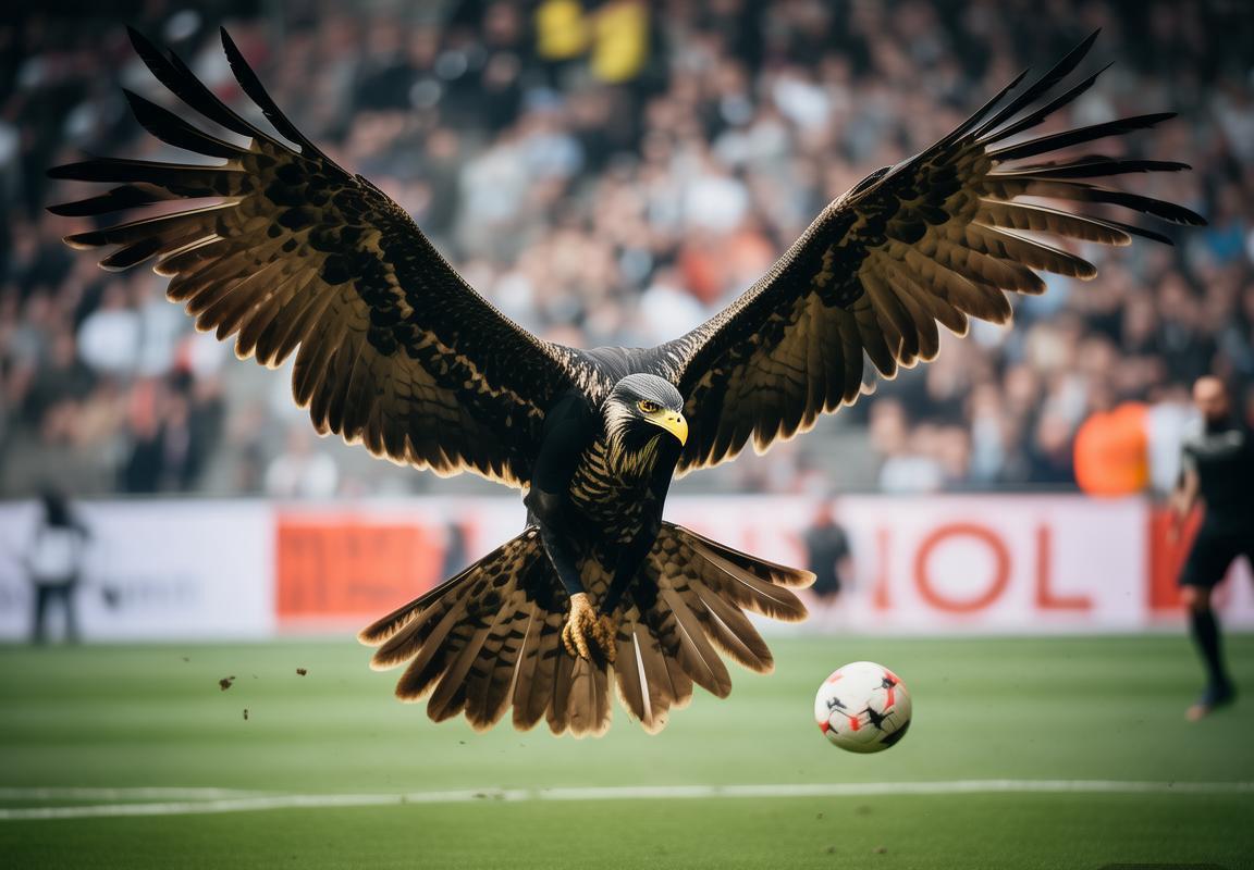 前进之鹰状态下滑客场难敌德甲劲旅斯图加特，斯图加特主场优势与攻防体系碾压前进之鹰客场表现